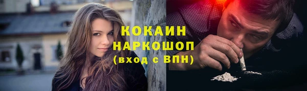 соль ск Алексин