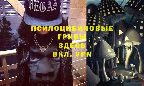 твердый Алексеевка