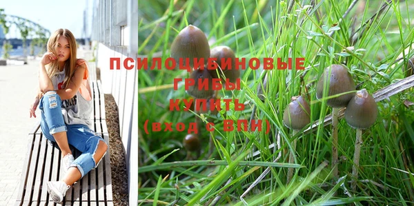 гашишное масло Алзамай