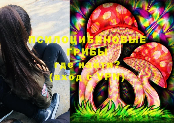 твердый Алексеевка