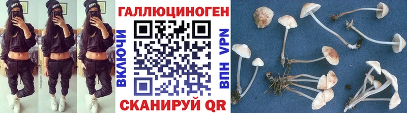 Галлюциногенные грибы MAGIC MUSHROOMS  KRAKEN зеркало  Новоалтайск 