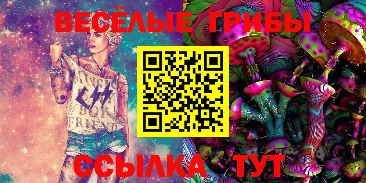 Галлюциногенные грибы ЛСД  Галлюциногенные грибы GOLDEN TEACHER  Новоалтайск  Вход с VPN 