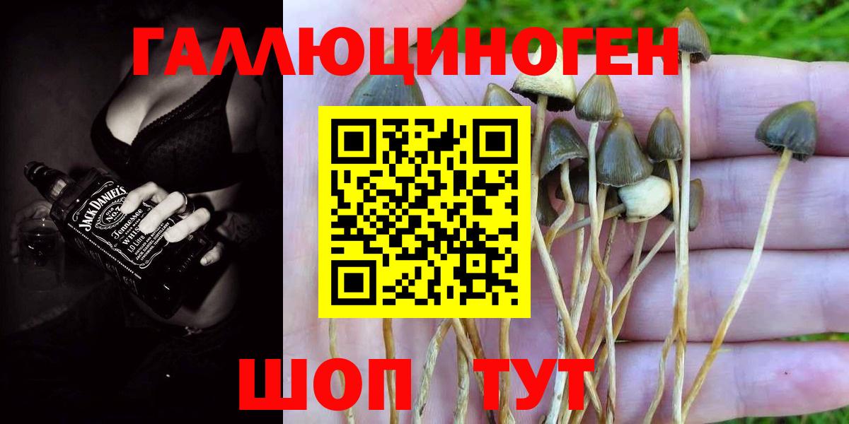 Cocaine  A-PVP СК кристаллы  Вход с VPN  Гашиш  Конопля  Новоалтайск  Конопля  Мефедрон  