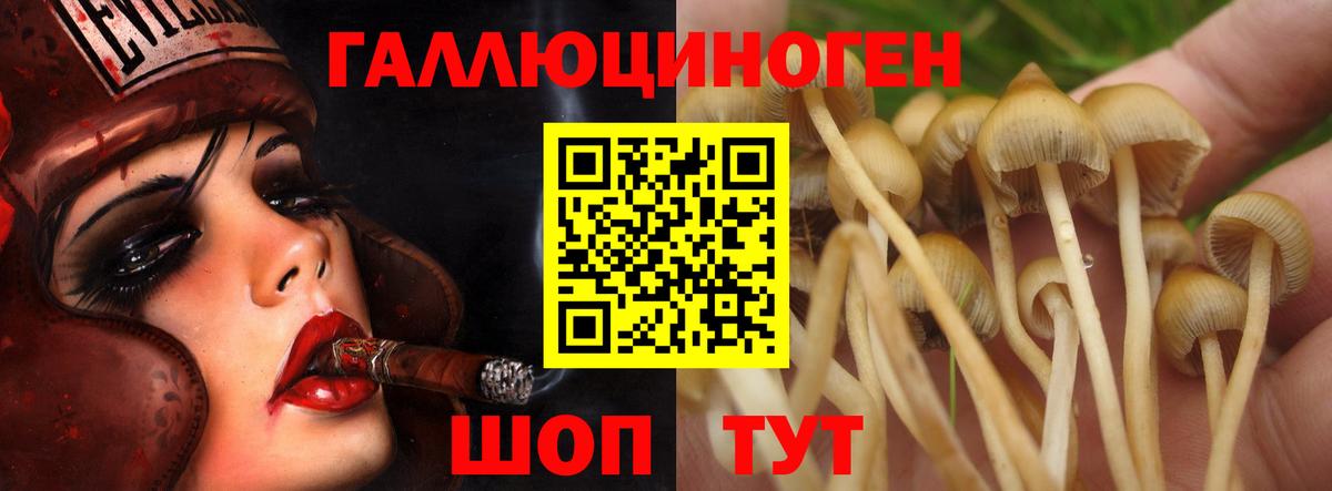 Галлюциногенные грибы мухоморы Новоалтайск